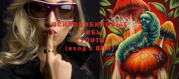 прущие крисы Медвежьегорск